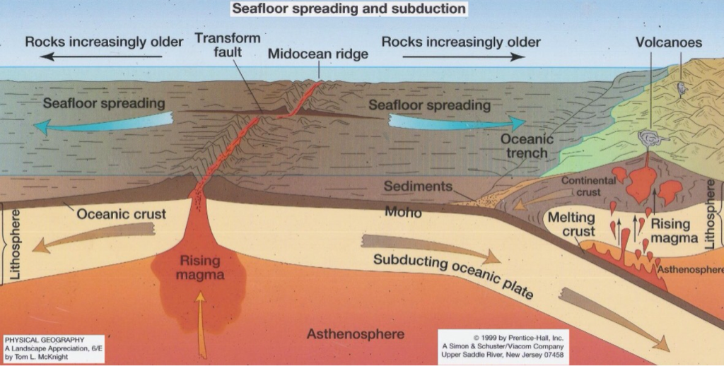 Evidence Of Sea Floor Spreading And Pangaea